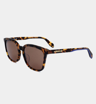 Adidas Sunglasses Unisex Havana